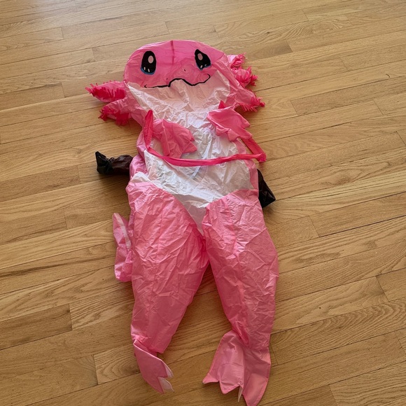 Pink Inflatable Costume - Picture 1 of 3